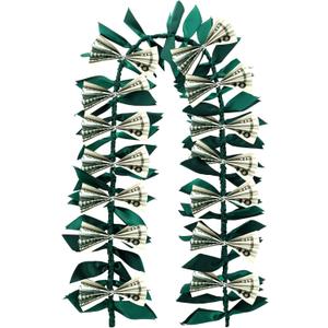 Graduation Money Lei Class of 2025 Graduation Ti Leaf Ribbon Lei DIY Grad Hawaiian Maile Green Leaves Necklace Garland for Senior High School College Grad Party Accessories, No Money Included
