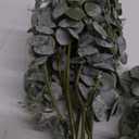 Winlyn 20 Pcs Mixed Artificial Oval Eucalyptus Leaves Bulk with White Seeds Stems and Spray for Vase Floral Wreath Bouquets Wedding Greenery Decoration