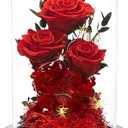 DENIMOMO Valentines Day Flowers Roses Gifts for Women Her,Forever Preserved Rose in Glass Dome, Valentines Anniversary Birthday Real Roses Gifts for Wife Women Girlfriend Best Friend/Red