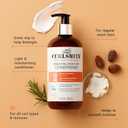 CURLSMITH Essential Moisture Conditioner - Hydrating Conditioner for Curly Hair, Lightweight and Softening, For All Curl Types, Vegan & Cruelty Free