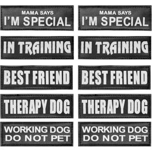 AUROTH Service Dog Patch 10 Pieces, Dog Vest Patches Service Dog in Training Patches, Reflective and Removable Dog Harness Patches for Service Dog Vest (M-4.5X1.5)