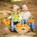 Jetec 32pcs Fall Wooden Pumpkin Cutouts Bulk Fall Thanksgiving Craft Decoration Unfinished Wood Pumpkins Ornaments Autumn DIY Blank Unfinished Pumpkins Crafts Party Home 3.5 x 3.3 Inch