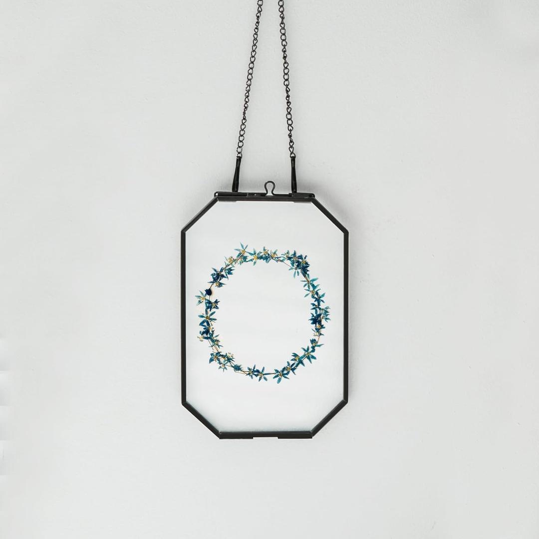 Small 4" x 6" Double Glass Floating Frame with Chain for Display Dried Flowers, Plant Specimen, Photo, Picture - Home Office Wall Hanging Decor, Black, Octagon