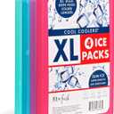 Cool Coolers by Fit + Fresh Slim Compact Reusable XL Ice Pack, Perfect for Lunch Boxes, Coolers, and Beach Bags (4 Count (Pack of 1), Multicolor 4 PK)