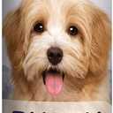 Wagzer Pets Puppy Shampoo | Natural Puppy Formula Dog Shampoo for Sensitive Skin | Gentle Support Shampoo for Dogs | Puppy Wash for Itchy Skin, Soothes, Cleanses, and Moisturizes | 16 oz