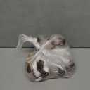 Aurora Snuggly Sweet & Softer Rocky Raccoon Stuffed Animal - Comforting Companion - Imaginative Play - Gray 11.5 Inches