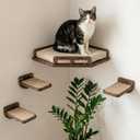 INICIO Cat Wall Shelves - Safe and Sturdy Cat Wall Furniture - Stylish Natural Wood Corner Shelf with 3 Steps for Cats up to 15lbs - Cushioned Perch and Stairs for Climbing and Playing - Dark Brown