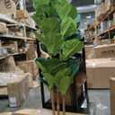Artificial Fiddle Leaf Fig Tree in Modern White Planter, 5ft
Large Fake Tree with 3 Sturdy Trunks, Fake Plants with Moss, Lifelike Tall Artificial Plants Indoor for Office Home Decor