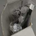 KINGSTONE Silverware Set, 40-Piece 18/10 Stainless Steel Brushed Handle Flatware Cutlery Set, for Kitchen, Home, Party, Wedding Gift, Rust Resistant and Dishwasher Safe