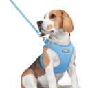 rabbitgoo Dog Harness Small Medium Sized and Leash Set, Step in Soft Light Puppy Vest, Breathable Mesh Pet Harness, Reflective for Safe Easy Walking, (Blue, L (chest: 18.2 - 20.5"))