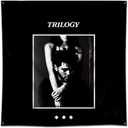 Eksent The tapestry Trilogy Art Music Album 3X3FT Poster Banner Tapestry Flag