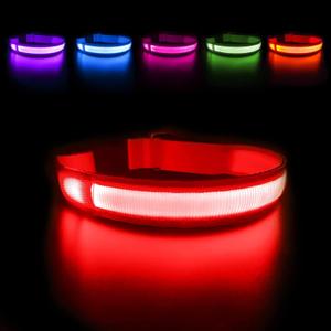 MASBRILL LED Dog Collar - Light Up, Rechargeable, Waterproof, Glow Collar for Small to Large Dogs (M(19.69*0.98inch), Red)
