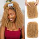 3pcs Afro Kinkys Bulk Human Hair 16Inch 27# Afro Kinky-curly Human Braiding Hair | 4C Afro Kinky-curly Human Hair Bulk for Twist Hair Extension Dreadlock Locs Curly for Braids (Honey Blonde,50g/pack)