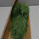 Hananona Artificial Pine Branches,40 Pcs Christmas Faux Cedar Stems, Artificial Faux Cedar Branches, Fake Christmas Greenery Pine Picks for Wreath Craft DIY Home Kitchen Decorations (40, Green)