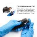 Tight Afro Kinky Bulk 100 Human Hair for Draedlock Extensions, Repair Locs, Twists and Braids (16 Inch, Natural Black, 5 Bundles with Crochet Needle Set and Rat Tail Comb)