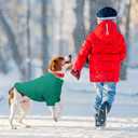 FEimaX Windproof Winter Warm Fleece Small Dog Coat, Soft Dog Fleece Jacket with Zipper for Medium, Cold Weather Sweater Apparel for Cats Boy Girl (Green)