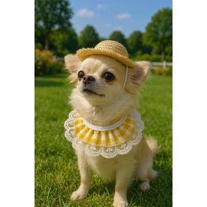 Outfit for 23" 17" Statue Costume Cute Daisy Bandana and Hat for Garden Patio Statue Art DecorPremium Goose Decoration Goose for Porch Lawn Yard Garden Home