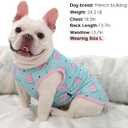 2 Pack Summer Dog Cooling Shirt Breathable Quick Dry Dog T Shirts Sun Protection Tank Top for Small Medium Large Breeds (Strawberry+Watermelon, X-Small)