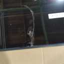 Samsung 50-Inch Class QLED Q7F Series Samsung Vision AI Smart TV (2025 Model, 50Q7F) Quantum HDR, Object Tracking Sound Lite, Q4 AI Gen1 Processor, 4K upscaling, Gaming Hub, Alexa Built-in