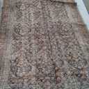 Loloi Amber Lewis Billie Collection, Ink & Salmon 10'-0" x 14'-0" Area Rug  Antique & Distressed Accent Rugs for Living Room, Bedroom, Entryway & Hallway, No Shed High Traffic Area Home Decor Rug