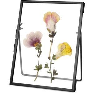 Glass Pressed Flower Frame Handmade, Floating Picture Frames for Pressed Flowers, Tabletop Artwork Photo Frames, Brass Desk Picture Frame for Home Office Plant Specimen, Black, 4x6 Inches (4L" x 6W")