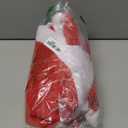 Morph Kids Santa Costume, Girls Santa Costume, Christmas Costumes for Girls, Christmas Costumes for Kids (Large)