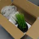 MyGift Tabletop Artificial Grass Plants Decorative Faux Greenery Plant Potted in Modern Cylindrical Black Cement Pots, Set of 2