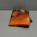 Fall Dog Shower Curtain Rustic Maple Forest Pumpkin Fallen Leaf Country Autumn Natural Landscape Cute Animal Polyester Fabric Bathroom Decor 7070 Inch with Hook (Yellow)