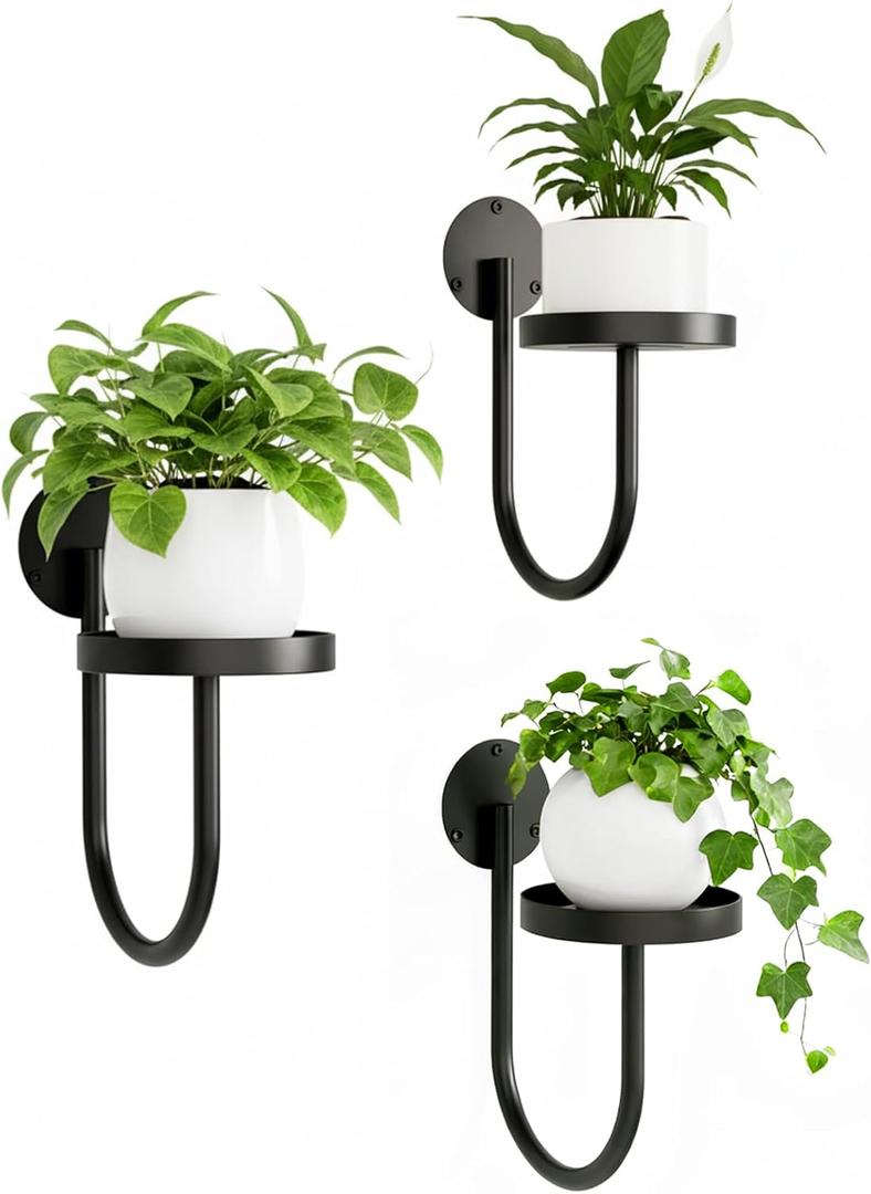 Wall Plant Holder  Hanging Planters for Indoor, Window Planter Shelves & Hanger, Indoor Wall Planters, Modern Plant Decor, Black (3 Pack)