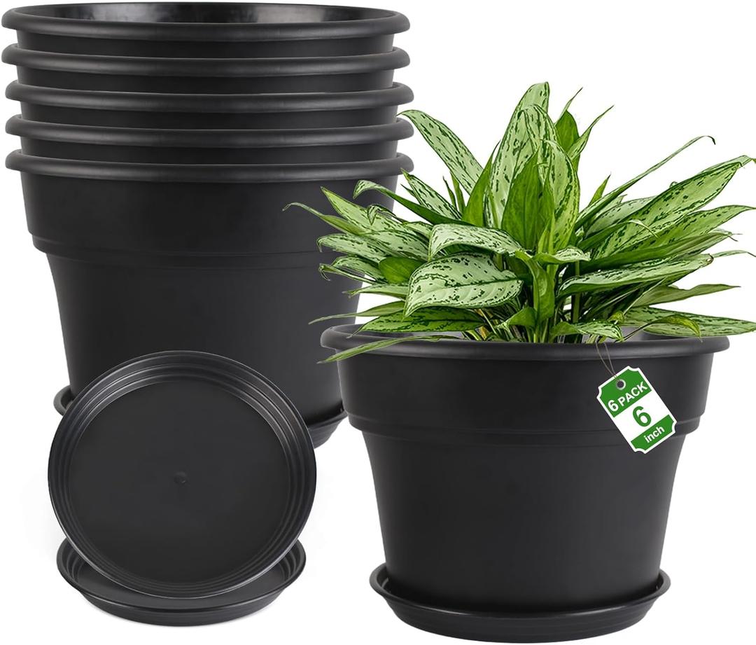 Myfeegoin 6-inch-Plant-Pots-Indoor-Outdoor, 6 Pack Plastic Planters with Drainage Holes & Saucers, Resin Flower Pots with Trays, Classic Garden Pot Container for House