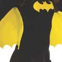 Rubies DC Comics Superheroes: Batgirl Costume Dress for Adults, Women's Large