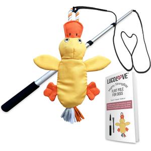 Flirt Pole for Dogs Heavy Duty - Multi-Sensory Tough Chase Toy for Medium & Large Breeds – Extra Strong 35" Dog Teaser Wand for Backyard Play, Training and Interactive Fun (Duck)