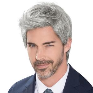 YYHR Men's Wig Short Silver Grey Silver Gray Synthetic Wigs Side Part Heat Resistant Fiber Hair Wig For Men Male Guy Daily Halloween