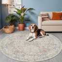 Beige Blue 6ft Round Rug for Living Room - Floral Circle Rug for Bedroom, Kids Room, Home Office, Washable Low Pile Non Slip, Pastel Blue and Green French Country Style Indoor Aesthetic Dcor