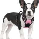 rabbitgoo Dog Harness No Pull with 2 Leash Clips, Adjustable Soft Padded, Reflective Oxford No Choke Pet Vest with Easy Control Handle for Small Dogs, Pink, S