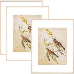 11x14 Picture Frame Set of 3, Brass Modern Aluminum Metal Photo Frame with HD Glass, Fits 8x10 with Mat or 11 x 14 without Mat, for Horizontal Wall Mounting