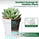 T4U 6 Inch Plant Pot 8-Pack, Plastic Planter with Drainage Hole and Saucer, Decorative Nursery Pots Bulk for African Violet, Snake Plant, Succulent, Herb and Plants Indoor (8 Pcs 6" Pots, White)