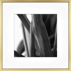 MCS Master & Co. Foundry Metal 12x12 Square Picture Frame, Display Pictures 8x8 With Mat or 12x12 Without Mat, Wall Hanging Frame for Photos & Artwork, Brass (1-Pack)
