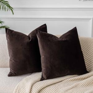 JUSPURBET Couch Pillow Covers Set of 2 Decorative Velvet Throw Pillow Covers Cases for Living Room Bedroom Home Decor Soft Cushion Covers Cases with Hidden Zipper for Sofa Bed 16x16 inch,Coffee