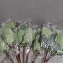 200 Pcs 4 Kinds Mixed Artificial Eucalyptus Greenery Stems Bulk
