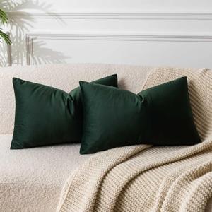 JUSPURBET Decorative Pillow Covers Set of 2 Velvet Throw Pillow Covers for Couch Sofa Bed Soft Lumbar Cushion Covers with Hidden Zipper for Living Room Home Decor, Army Green, 14x24 inch