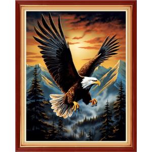DMCVIVR Stamped Cross Stitch Kits for Adults Beginners Embroidery Kits 11CT Needlepoint Kits Cross Stitch Patterns Embroidery Patterns-Eagle Sunrise 16x20 inch (Handicrafts14)