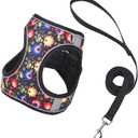 Step in Dog Harness No Pull Flower Adjustable Soft Mesh Padded Reflective Pet Vest Harness and Leash Set, XS