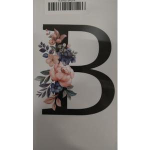 Pack Of 2 QUICQOD Spiral Notebook,Letter B Notebook,Initial Reading Journaling Notebooks,Monogram Gifts,Hardcover Spiral Notebook 5.5x8.3
