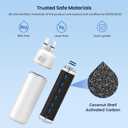 GLACIER FRESH EDR1RXD1 Refrigerator Water Filter Compatible with W10295370A, EDR1RXD1, WHR1RXD1, KAD1RXD1, Filter 1, W10295370, P4RFWB, P8RFWB2L, 46-9930, 46-9081 Refrigerator Water Filter,2 Pack