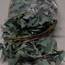 FiveSeasonStuff Hanging Rustic Willow Garlands, Bendable Artificial Greenery Vine Leaves for Wedding Home Decoration (2 pcs, 11.8 feet)