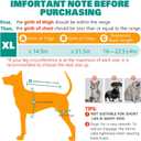 Dog Knee Brace for Hind Legs ACL Support - Adjustable Double Dog Leg Brace for Joint Pain Relief, Luxating Patella, Arthritis Recovery, Secure Fit Orthopedic Wrap for Small Medium Large Dogs (XL)