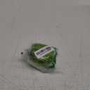 Joie Garlic Press and Chopper with Storage Container, Stainless Steel Blades, Green