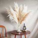 10 Stems 30" inch Dried Pampas Grass Decor Tall, Large Pompas Grass, Boho Neutral Home Decor Bouquet, Fluffy Pampass Grass for Floor Vase Wedding Floral Arrangements Wall Farmhouse Table Decor