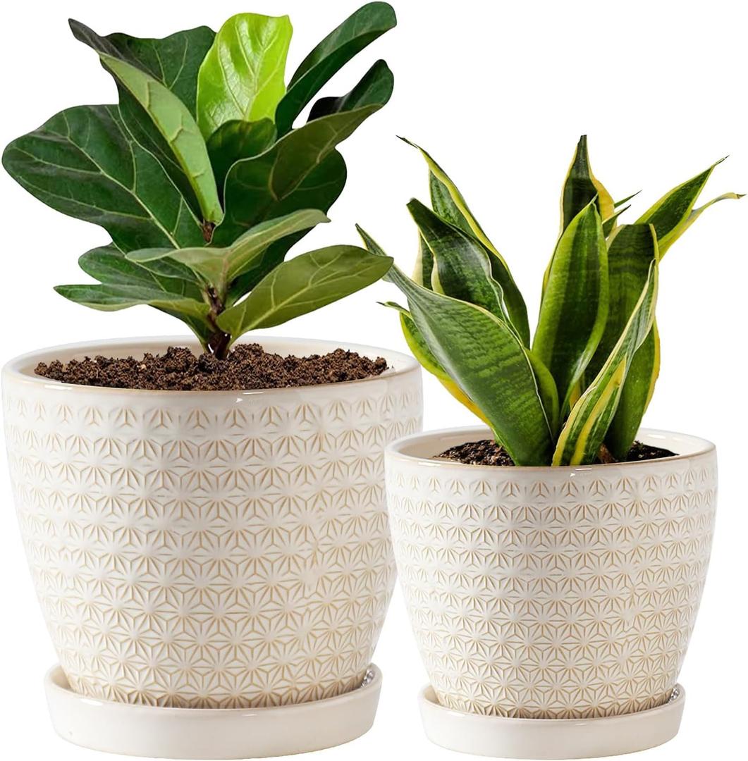 Plant Pots, Flower Pots, Planters for Indoor Plants(6.5+5.5inch), Flower Pots for Indoor Plant with Drainage Hole and Saucer, Ceramic Pots for Plants with Hole Mesh Pad,Reactive Glaze White